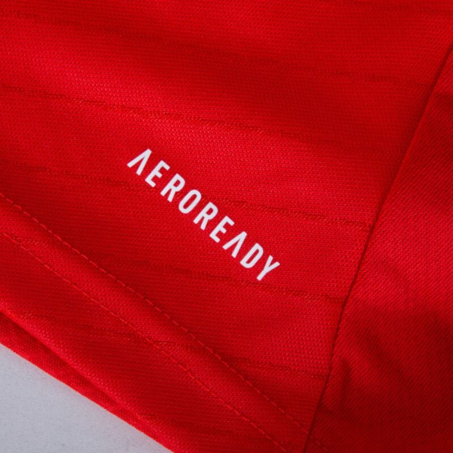 Benfica Home Fan Jersey 2024/25 Patches UCL UEFA Foundation (Official Printing) - FutStore