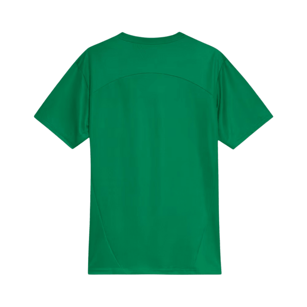 Camisa Palmeiras 25/26 Treino verde - FutStore