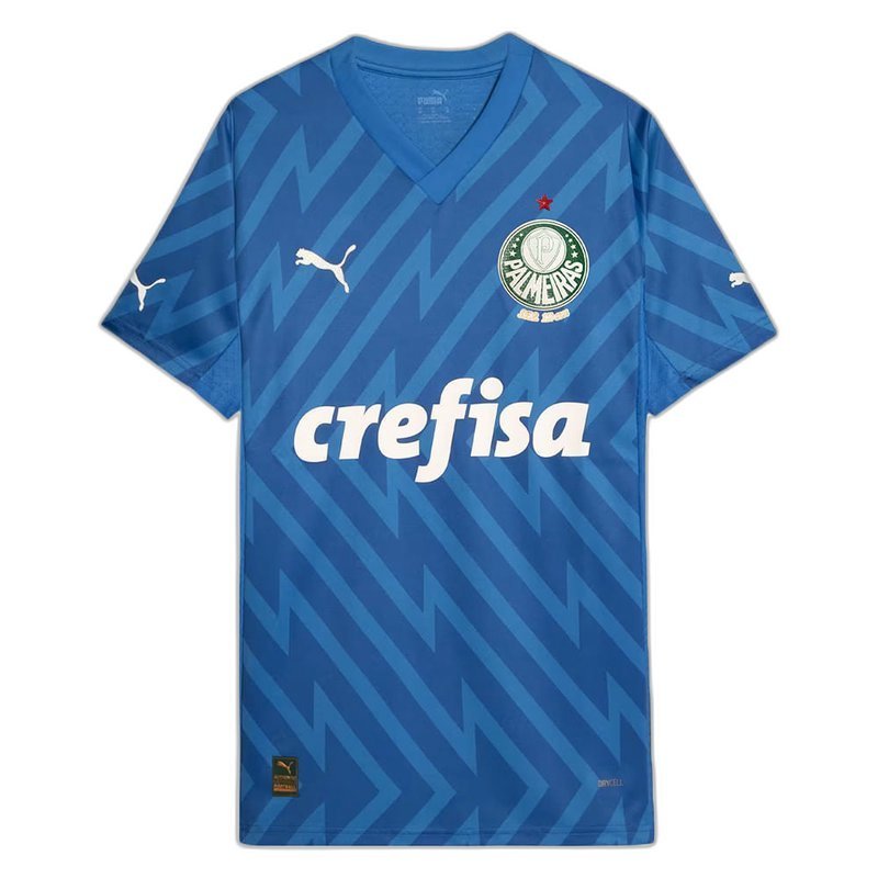 Palmeiras 24/25 Goalkeeper I Home Jersey Player Version - Slim Fit - FutStore