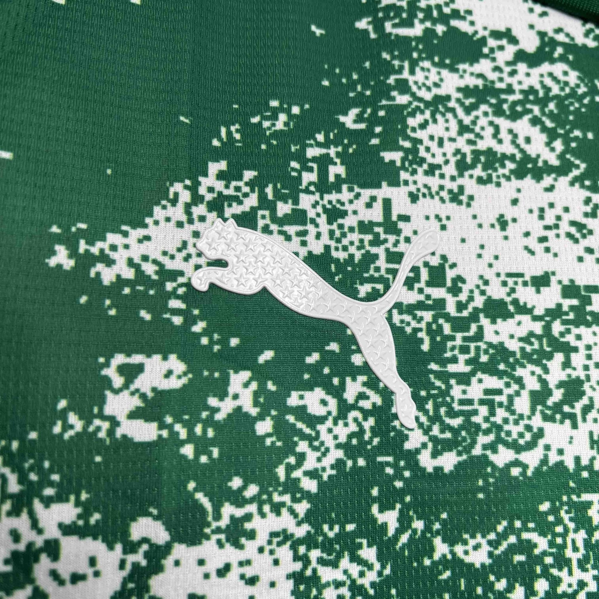 Palmeiras For a Greener Future Special Edition - FutStore