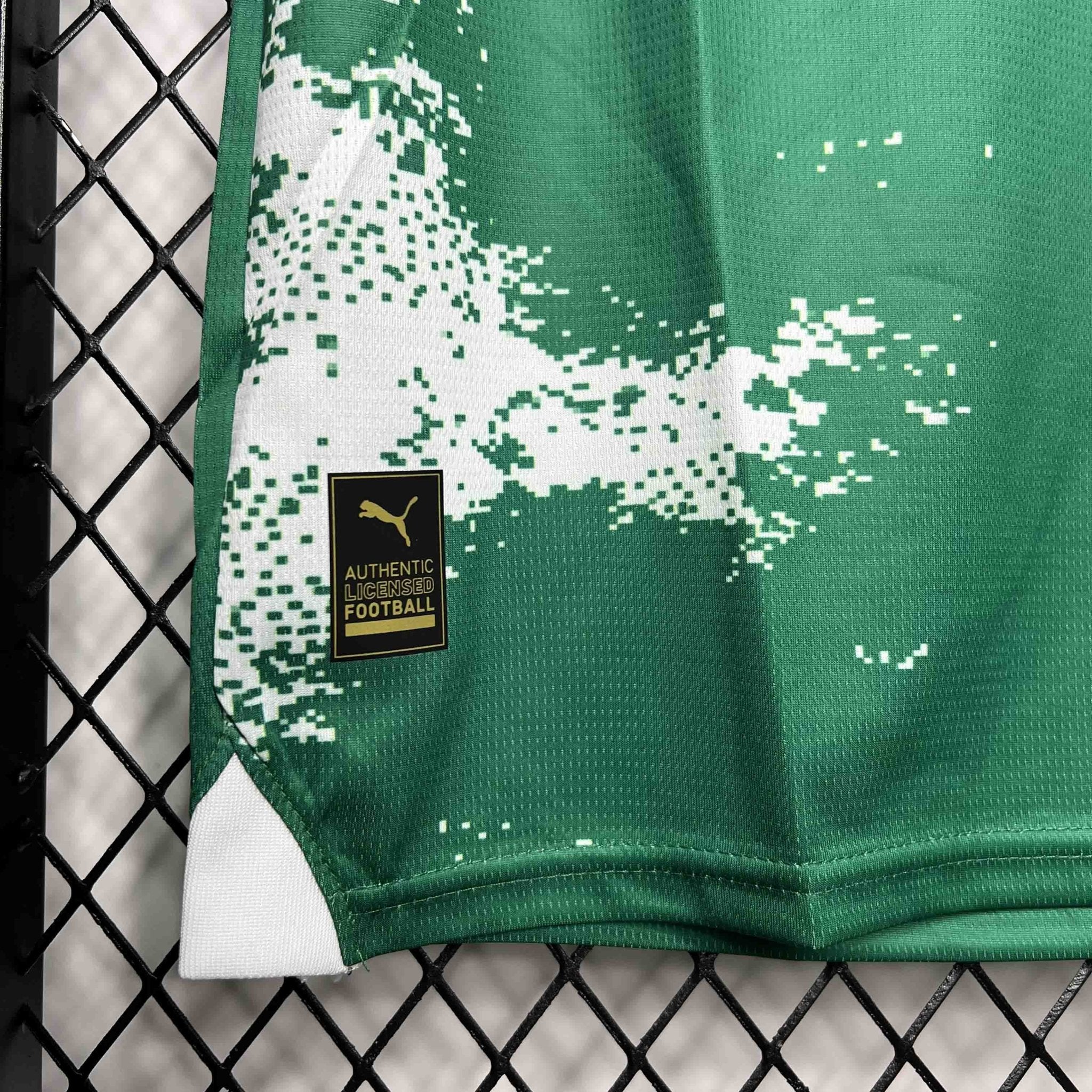 Palmeiras For a Greener Future Special Edition - FutStore