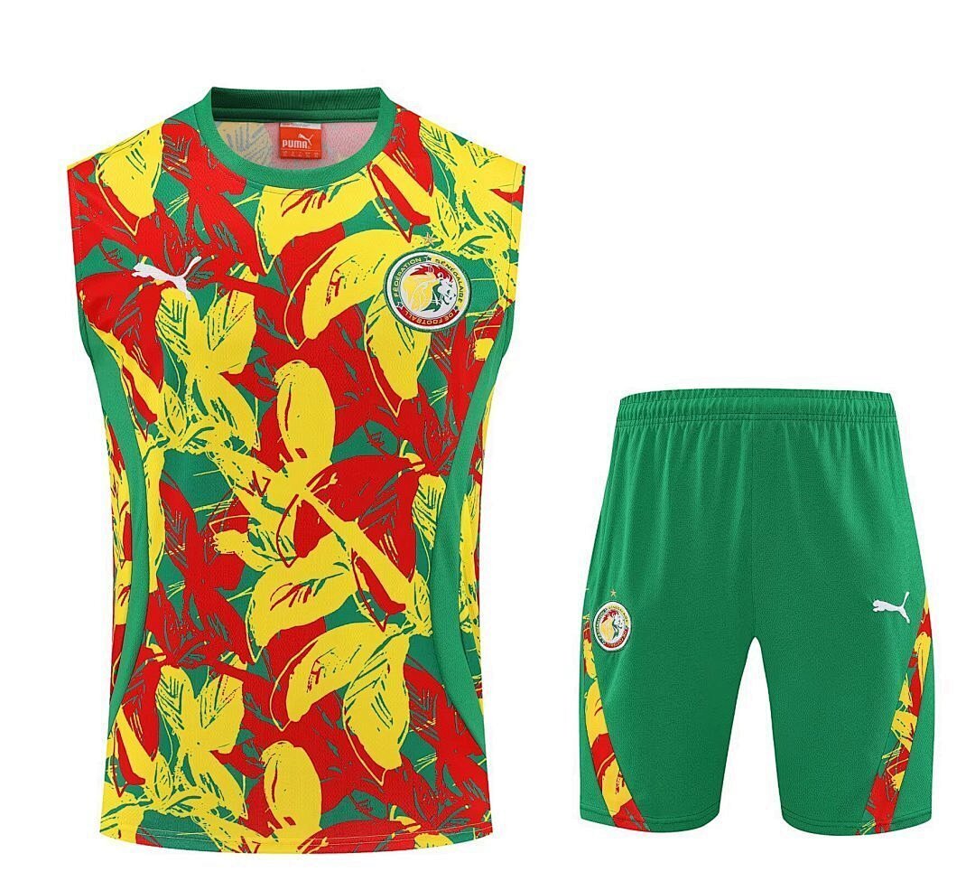 Senegal 2025 Training Kit - No Sleeve - FutStore