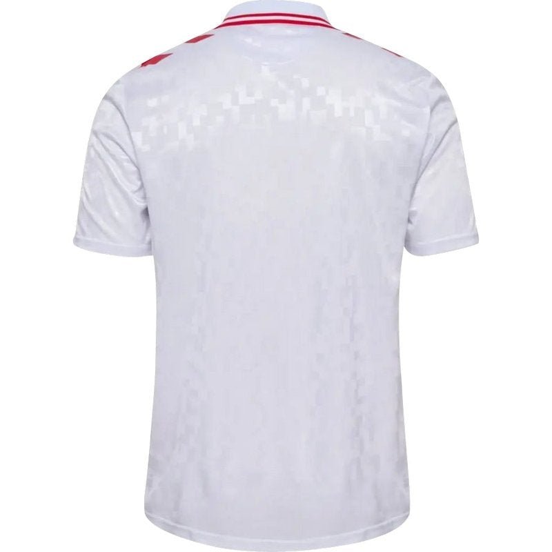Denmark 24/25 II Away Jersey - Fan Version - FutStore