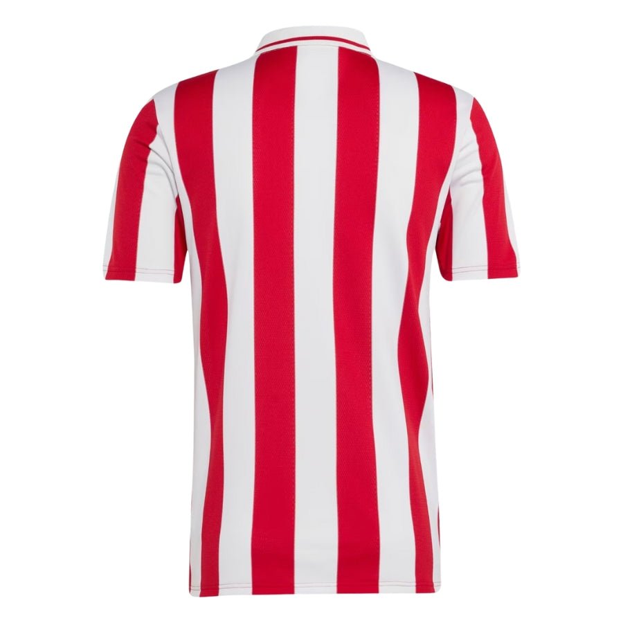 Olympiacos Centenary Fan Jersey 2024/25 - FutStore
