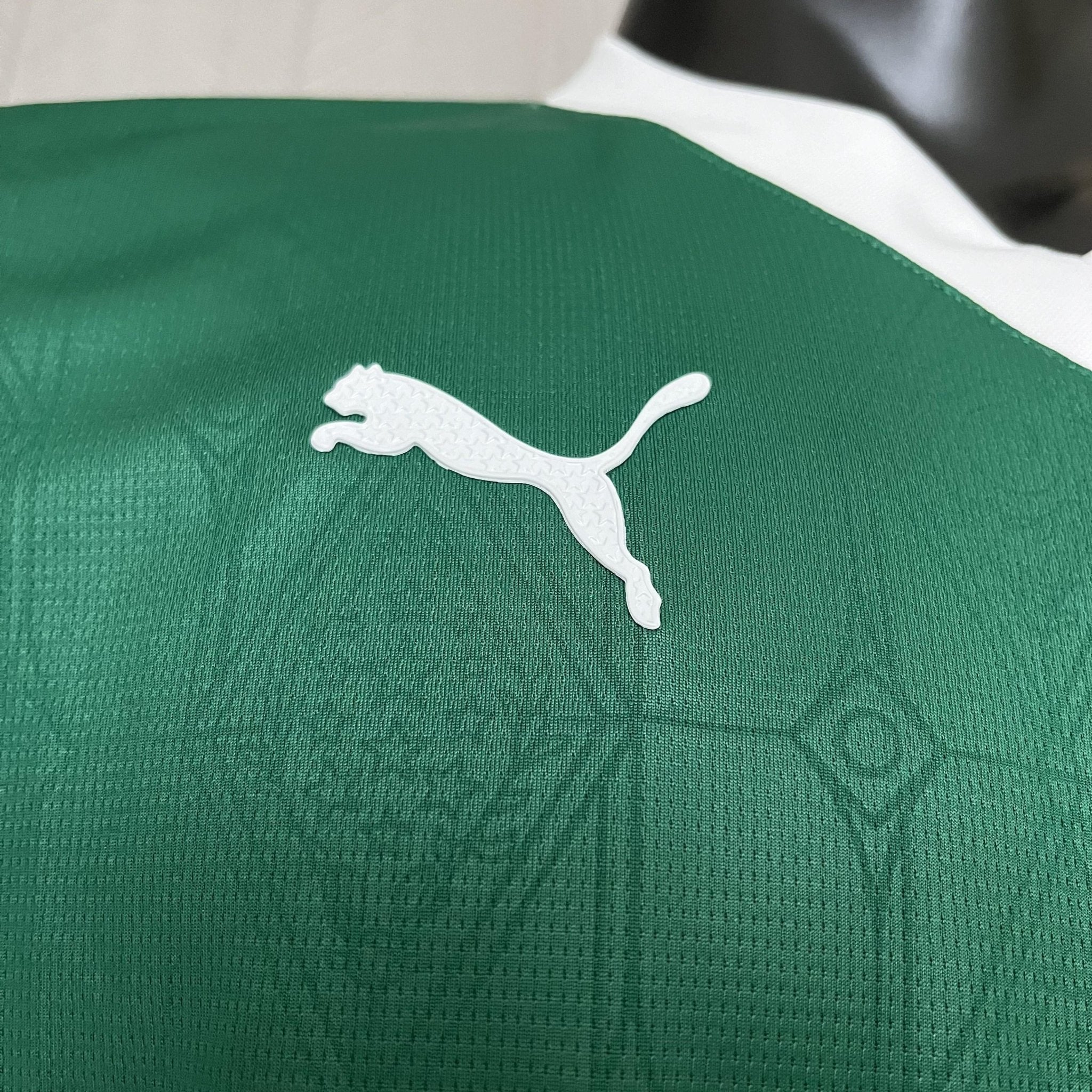 Palmeiras 2025/26 Player - [Slim Fit] - Slim Fit - FutStore