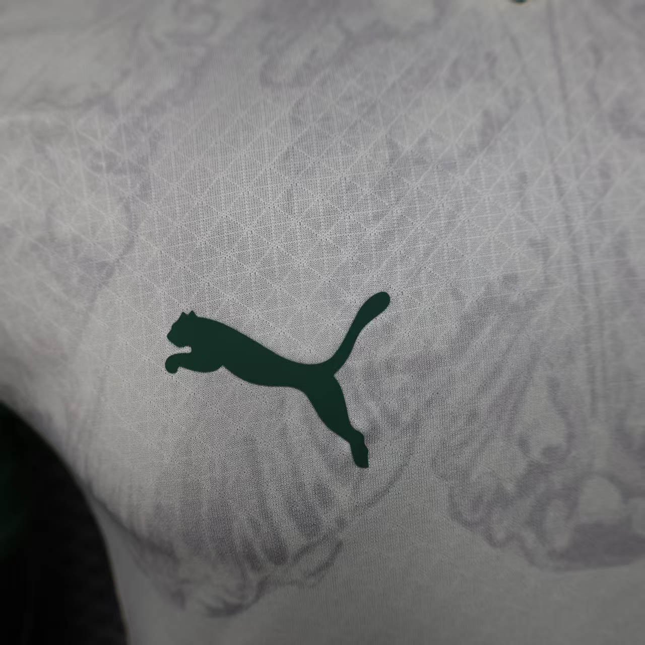 Palmeiras Away Authentic Player [Slim Fit] Player [Slim Fit] Player [Slim Fit] Player Slim Fit 2025 - Club World Cup [Slim Fit] - FutStore