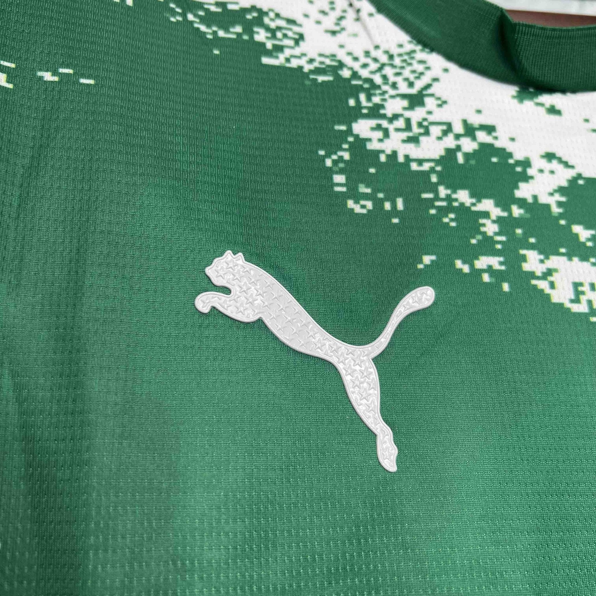 Palmeiras For a Greener Future Special Edition - FutStore