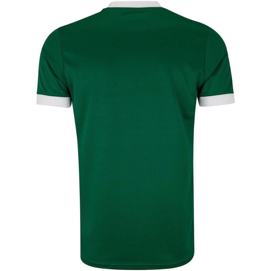 Palmeiras Home Fan Jersey 2025/26 - FutStore