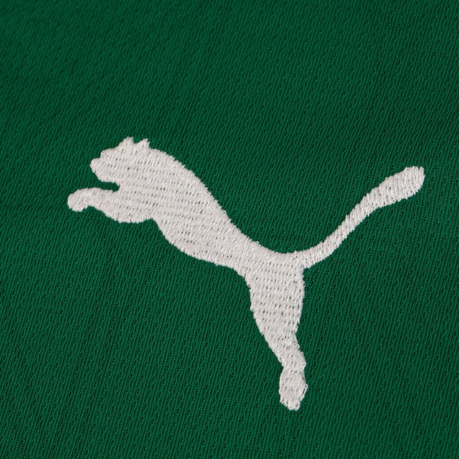 Palmeiras Home Fan Jersey 2025/26 - FutStore