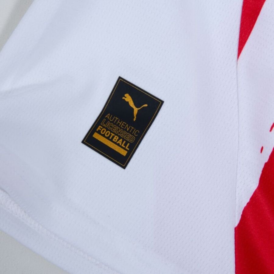PSV Eindhoven Fan Jersey Home 2024/25 Patches UCL UEFA Foundation (Official Printing) - FutStore